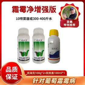 霜霉净增强版 优瑞克+锐效嘉 一套10喷雾器