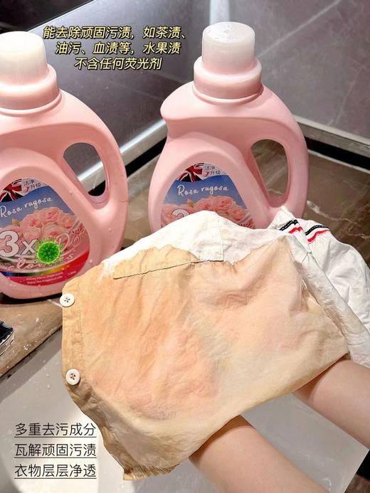 新包装英国南堡·朵衣除螨香水洗衣液 商品图9