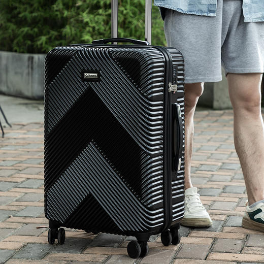 Diplomat外交官商务万向轮拉杆箱旅行箱TSA密码箱行李箱DS-130 磨砂黑色- 拉链 28英寸 商品图1