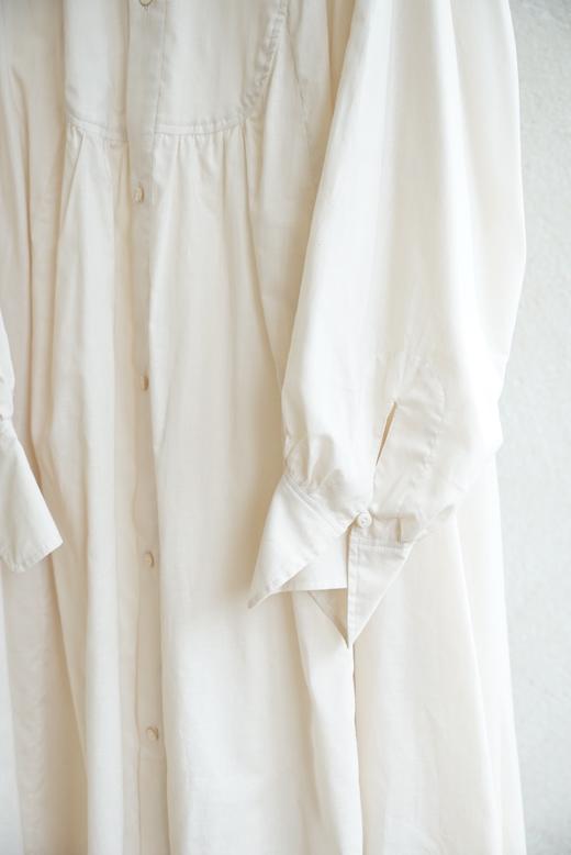 The last flower of the afternoon 商品图13