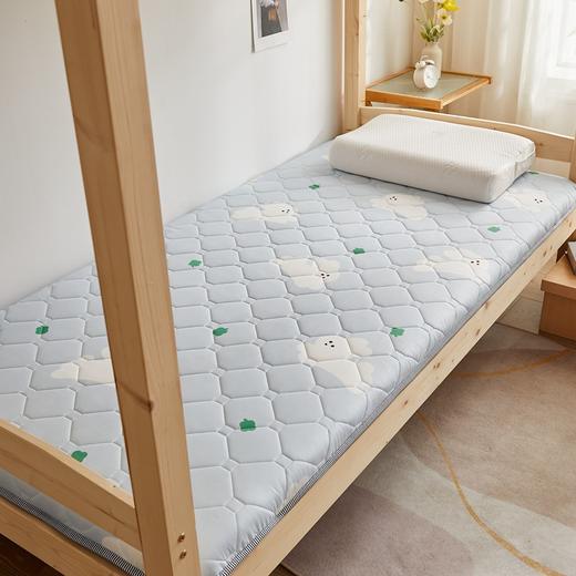 【遇见起居新姿态 瞬间治愈一天疲惫】一款不一样的床垫 加厚约四公分床垫 学生宿舍折叠床垫 软垫床褥子单人双人床垫-QQ 商品图9