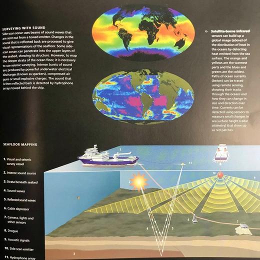 海洋视觉指南 数百幅彩色插图 精装16开 商品图14
