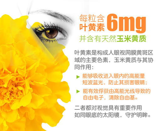 【保税仓】HollandBarrett荷柏瑞叶黄素胶囊呵护眼睛100粒 商品图3
