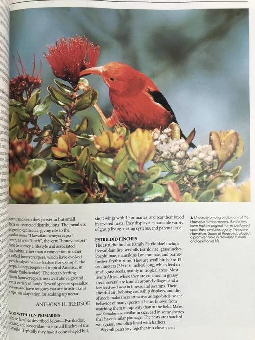 读者文摘动物百科全书 2000余幅插图 精装大16开 商品图14