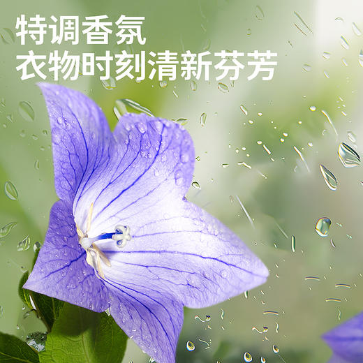 【去血渍】舒莱女士植物草本内衣洗衣液500ML 商品图4