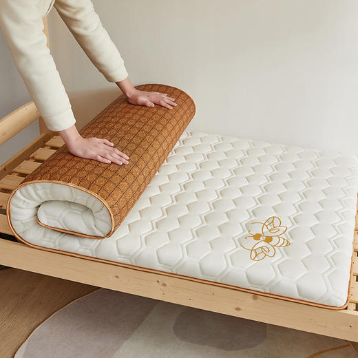 【四季适用，是凉席也是床垫~】学生床垫单人垫子 榻榻米折叠软垫 家用床垫褥 双人加厚垫子 床褥铺地垫子-QQ 商品图13