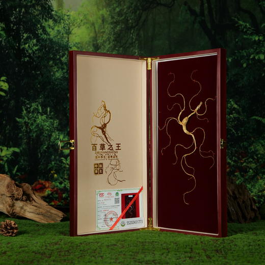 草本利生堂东北长白山野山参人参45厘米礼盒装8-13g 商品图1