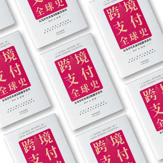 跨境支付全球史：从马尔代夫海贝到数字货币 商品图1