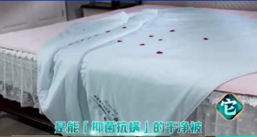 VY薄荷冰凉因子能量被 商品图0