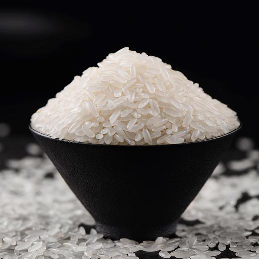 米老板 稻香2号 5kg 商品图3