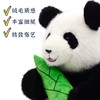 熊猫抱笋玩偶 商品缩略图4