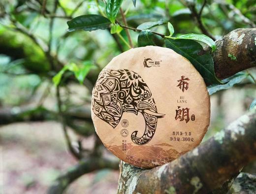 2024年金象系列布朗生茶300g 商品图1