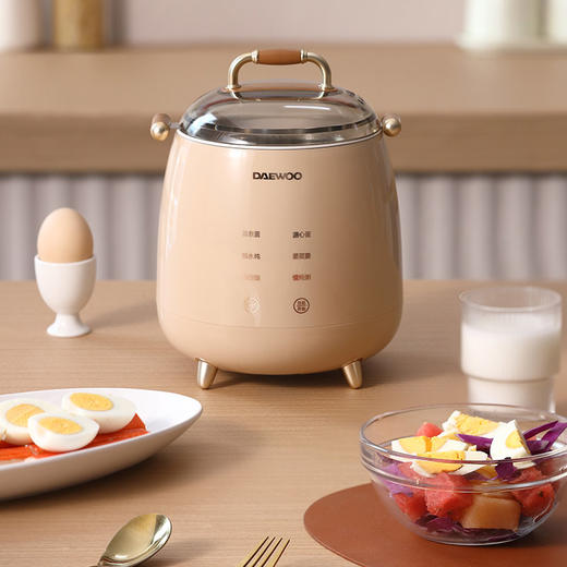 大宇(DAEWOO)家用小型多功能早餐机隔水炖者蛋器 DYZC-B08 商品图2