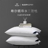 希尔顿尊享三防枕2.0丨睡眠管家联名防水防油防污 抗jun不易变黄 安心睡眠一整夜 商品缩略图0