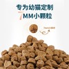 鲜朗猫粮 幼猫粮 适用1-12月龄（48小时内发货，着急勿拍） 商品缩略图2
