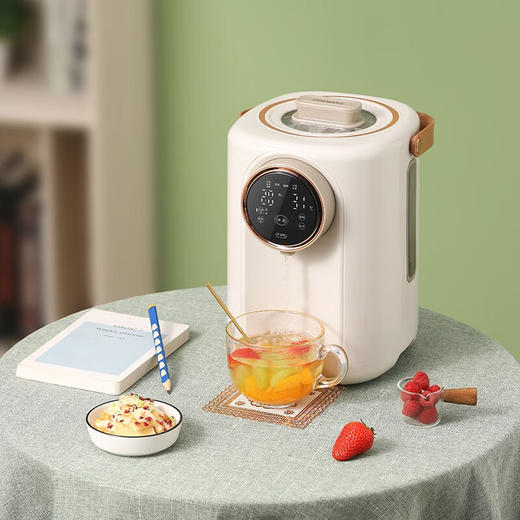 大宇（DAEWOO）家用热水壶多段保温3L容量电热开水瓶DYSP-3018 商品图2