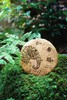 2024年金象系列布朗生茶300g 商品缩略图0