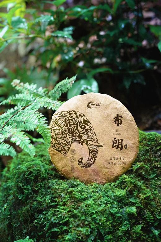 2024年金象系列布朗生茶300g 商品图0