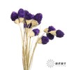 永生花材 | 单头千日红深紫 商品缩略图2