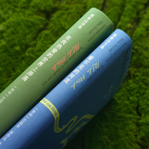 《聂鲁达诗文集》（全2册）：《在我热爱的世界上游荡：聂鲁达诗选》《看不见的河流：聂鲁达文选》 商品图8