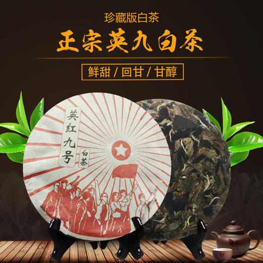 一叶知青.英九白茶 商品图2