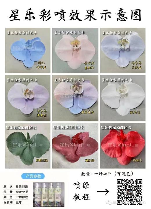 星乐鲜花喷漆 商品图1