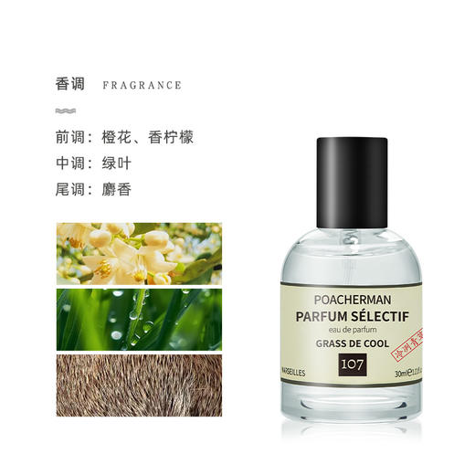 柏世曼冷冽青草香水 冷香型持久淡香绿意清新男女士中性香水学生 商品图2