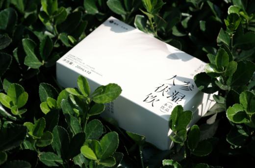 人参茯湿饮 商品图1