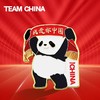 【正版授权】中国国家队·加油/我爱你中国纪念徽章（明星同款）·金属徽章 商品缩略图0