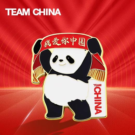 【正版授权】中国国家队·加油/我爱你中国纪念徽章（明星同款）·金属徽章 商品图0