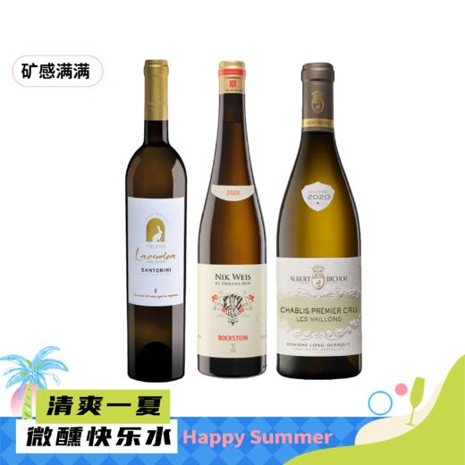 【矿感满满】圣岛路迪亚干白+李克维博石园雷司令干白+阿尔伯特·毕修酒庄长笛庄园夏布利村微咏园白 商品图0