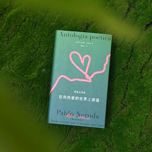 《聂鲁达诗文集》（全2册）：《在我热爱的世界上游荡：聂鲁达诗选》《看不见的河流：聂鲁达文选》 商品图12