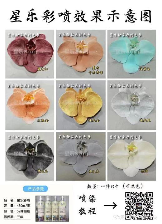 星乐鲜花喷漆 商品图3