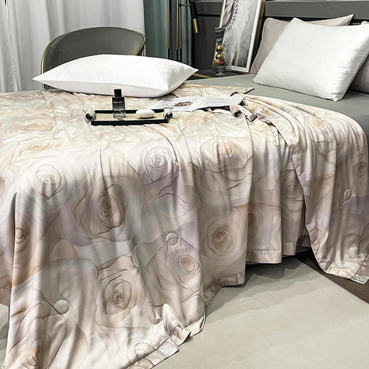 【清仓179元起/床】【门店同款】60支进口兰精莱赛尔天丝单夏被、天丝棉夏被、下单还赠送一个手拎袋 商品图7