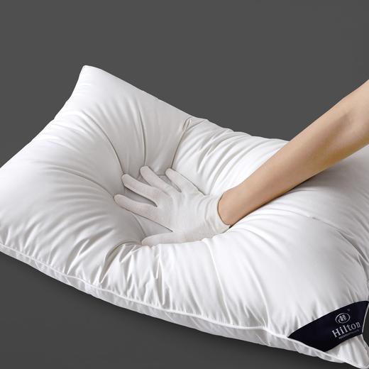 希尔顿尊享三防枕2.0丨睡眠管家联名防水防油防污 抗jun不易变黄 安心睡眠一整夜 商品图1
