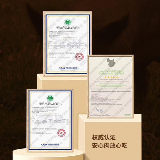 搜食神探 老面双无抗黑猪肉包 630g*2 商品图3