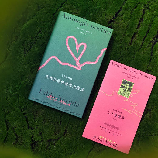 《聂鲁达诗文集》（全2册）：《在我热爱的世界上游荡：聂鲁达诗选》《看不见的河流：聂鲁达文选》 商品图9
