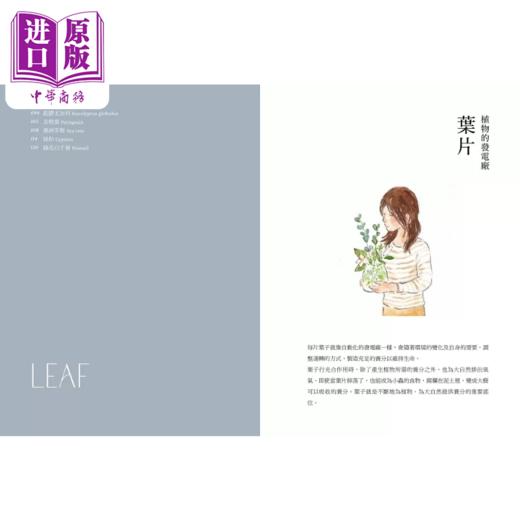 【中商原版】能量芳疗 芳香植物九型人格 x 45支精油 带你突破人生困境 找回内在力量 陈育歆 境好出版 港台原版 商品图2