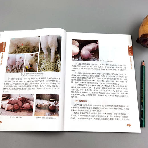 规模化猪场常见疾病防控视频书【中国农业出版社官方正版，可开发票】 商品图3