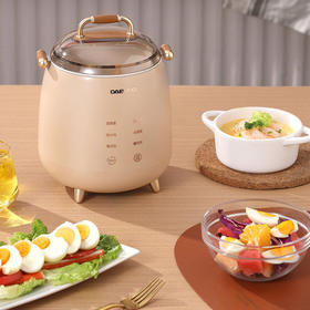 大宇(DAEWOO)家用小型多功能早餐机隔水炖者蛋器 DYZC-B08