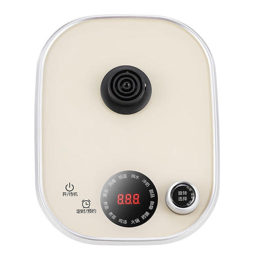 大宇（DAEWOO）煮茶壶1.8L容量家用多功能玻璃花茶烧水壶办公室养生壶 DYYS-12Y18养生壶+电煮锅 1.8L 商品图9