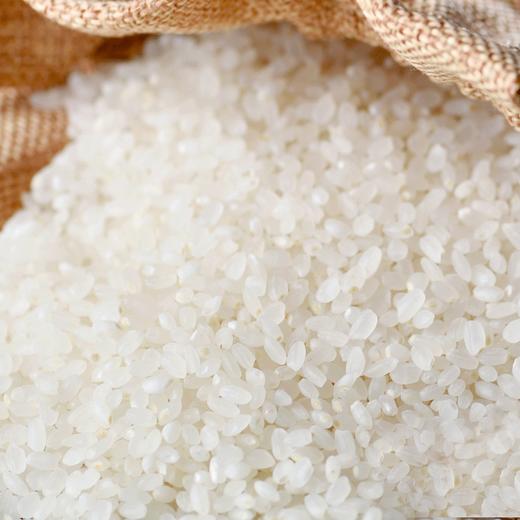 米老板 1号大米（真空锁鲜装）5kg 商品图2