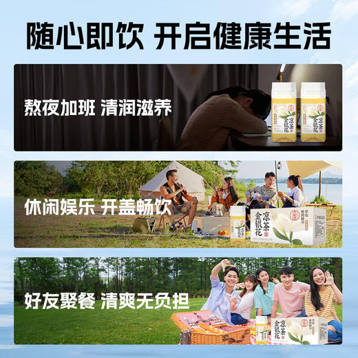 轻上小轻甘金银花凉茶药食同源决明子甘草花草茶即饮植物饮料 金银花凉茶245ml*10瓶 商品图5