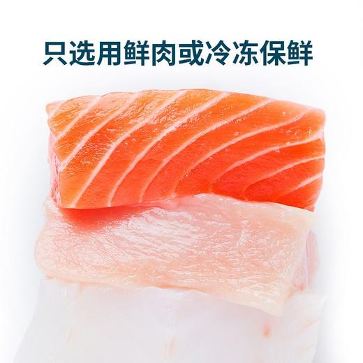 鲜朗猫粮 全阶段 鱼肉口味（48小时内发货，着急勿拍） 商品图2