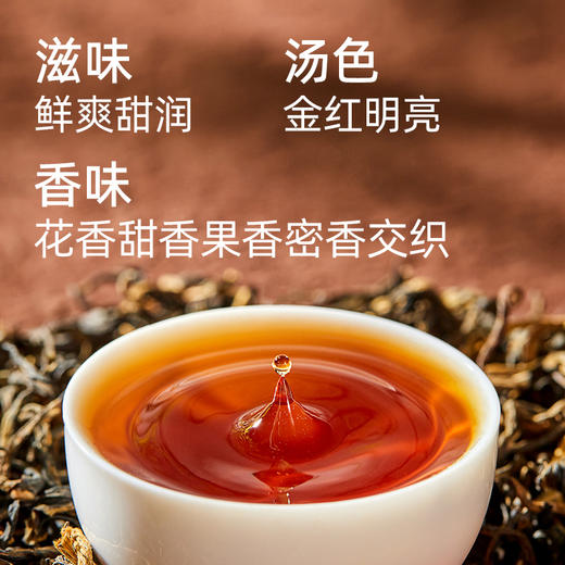 寻茶令凤庆滇红茶工夫茶一级红茶口粮茶点茶50g*1盒 商品图2