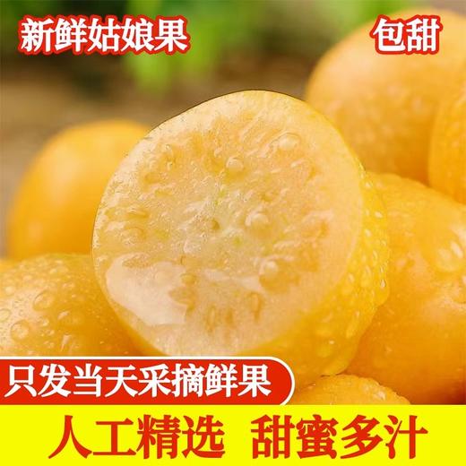 【绿色天然，人工挑选，新鲜姑娘果】黄姑娘果东北特产 新鲜甜洋菇娘 当季水果灯笼果 现摘黄金豆水果-QQ 商品图2