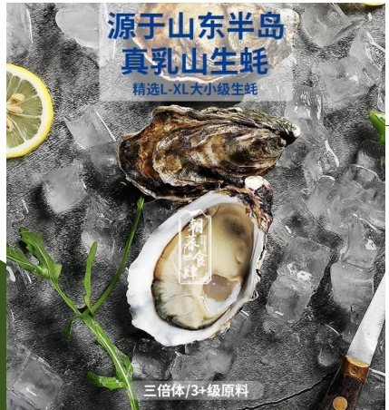 VY能量养生乳山生蚝