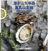 VY能量养生乳山生蚝 商品缩略图0