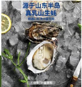 VY能量养生乳山生蚝