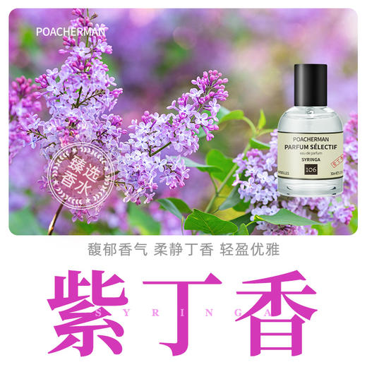 柏世曼紫丁香香水女士香水甜美丁香花香调持久留香小众学生淡香 商品图0